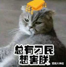抖音倾斜英文怎么打_抖音视频斜着平扫是什么特效_抖音倾斜照片