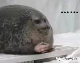 抖音倾斜照片_抖音倾斜英文怎么打_抖音视频斜着平扫是什么特效