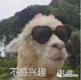 抖音倾斜英文怎么打_抖音视频斜着平扫是什么特效_抖音倾斜照片