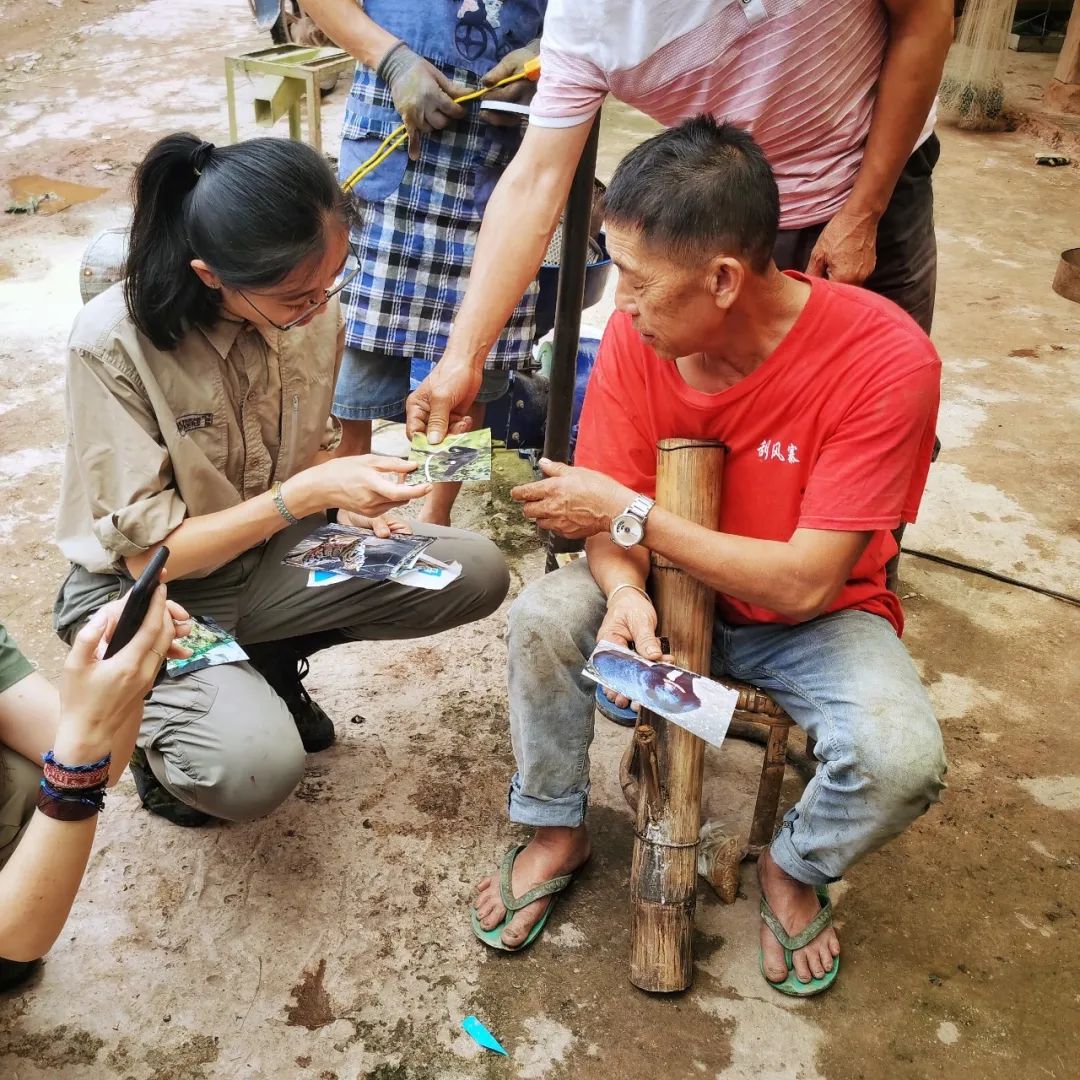 抖音上蝴蝶飞飞特效咋弄的_抖音飞蝴蝶特效是怎么拍的_抖音蝴蝶飞飞怎么拍