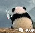 快手王者荣耀纯白主播_王者主播荣耀纯白快手号是什么_王者荣耀纯白直播间