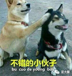 王者主播荣耀纯白快手号是什么_王者荣耀纯白直播间_快手王者荣耀纯白主播