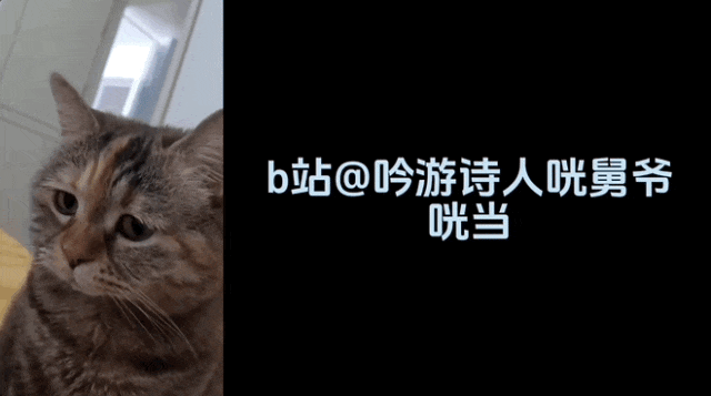 外国人的抖音视频_外国人看抖音整蛊视频_外国抖音吓人视频