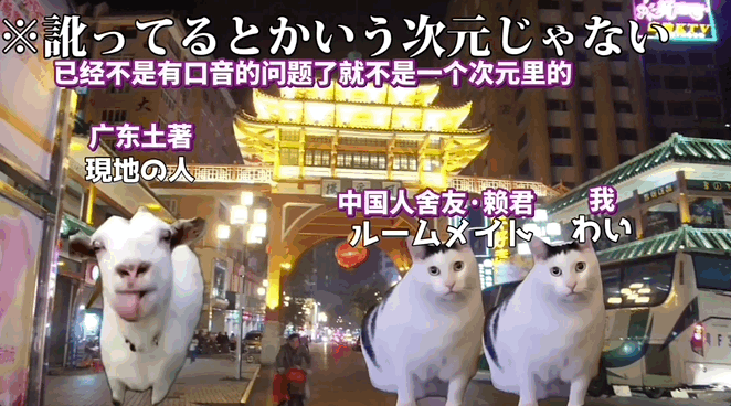 外国人看抖音整蛊视频_外国人的抖音视频_外国抖音吓人视频