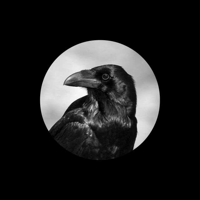 抖音周笔畅的歌_抖音周笔畅最好听的歌_周笔畅抖音最火的一首歌