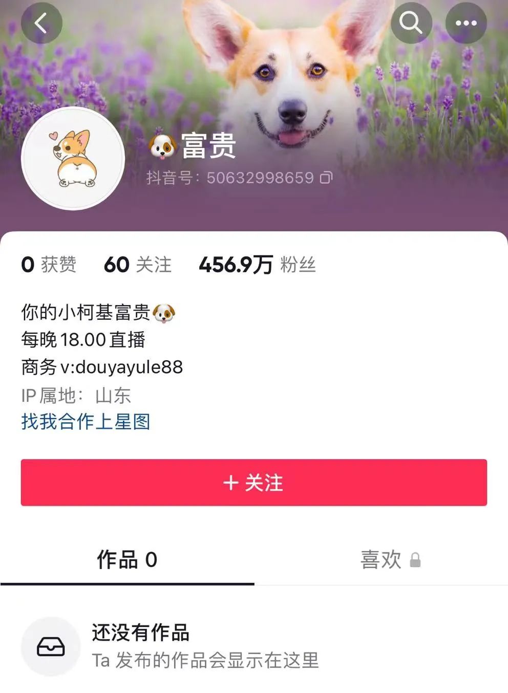 周笔畅抖音最火的一首歌_抖音周笔畅的歌_周笔畅抖音很火的歌叫什么
