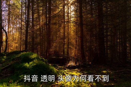 抖音 透明 头像为何看不到