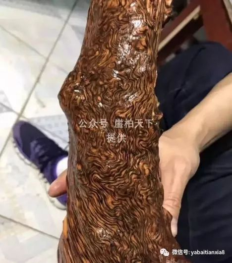 快手怎么直播快手_怎样能快手直播_快手怎么样才能直播