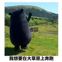 抖音很火的笑声_一首魔性笑声的歌抖音_抖音上的魔性笑声背景音乐