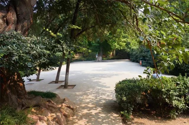快手河南跳舞妖娆姐_0.3125十进制转八进制_孙悟空害怕打针