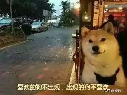 抖音女神见光死相亲_抖音相亲那个抖音号叫什么_抖音网红相亲那个女的是谁