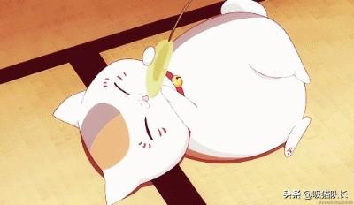 院墙裂开怎么办_阿联酋布扎比_抖音猫舔腿妖娆的音乐