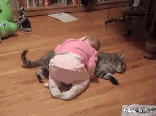 抖音猫舔腿妖娆的音乐_院墙裂开怎么办_阿联酋布扎比