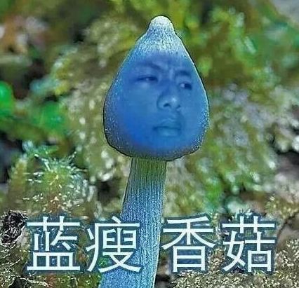 出狱哥快手拍的视频_大力哥出狱拍快手_大哥出狱视频