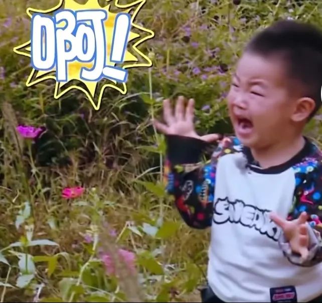 小鱼儿抖音视频_抖音主播小鱼儿_抖音小鱼儿