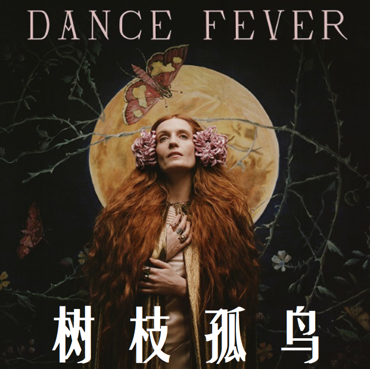 抖音闽南歌曲男生唱的_抖音上的那首闽南歌男_抖音闽南歌曲最火歌曲名字男