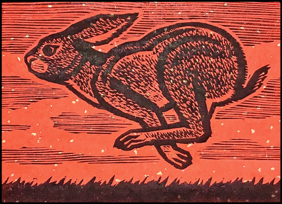抖音知名画手_毕业册设计手画的抖音_抖音的设计手绘用什么软件