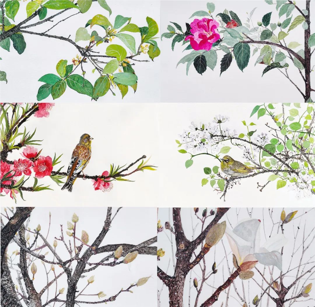 毕业册设计手画的抖音_抖音知名画手_抖音的设计手绘用什么软件