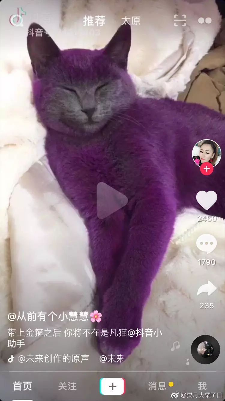 抖音猫眼睛是哪个_抖音猫咪大眼睛特效_抖音猫咪眼睛治愈情头