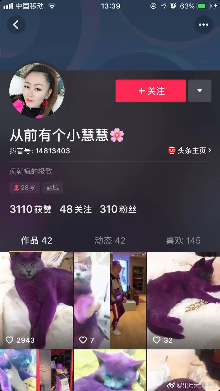 抖音猫咪眼睛治愈情头_抖音猫咪大眼睛特效_抖音猫眼睛是哪个
