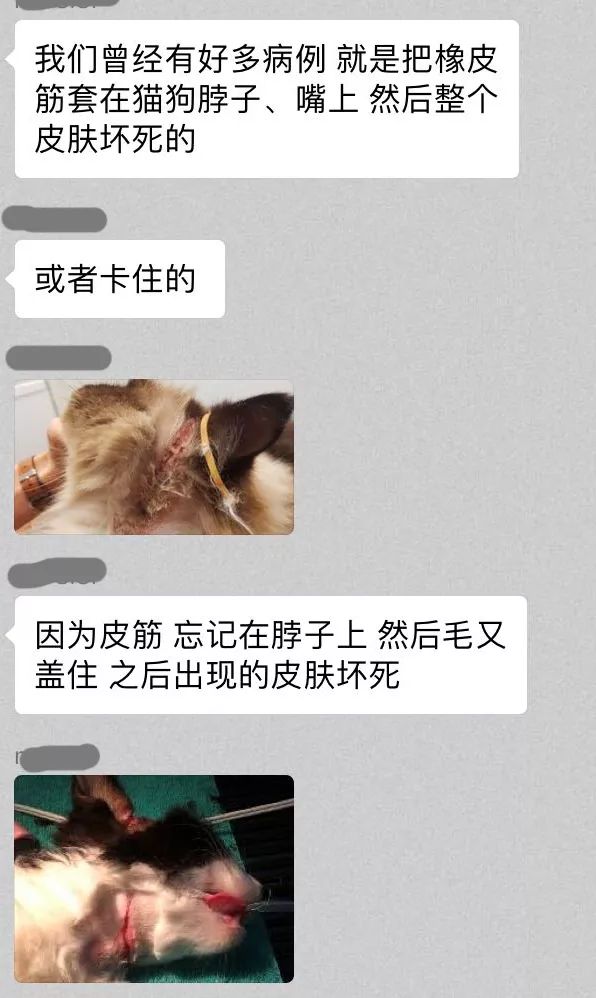 抖音猫咪眼睛治愈情头_抖音猫眼睛是哪个_抖音猫咪大眼睛特效