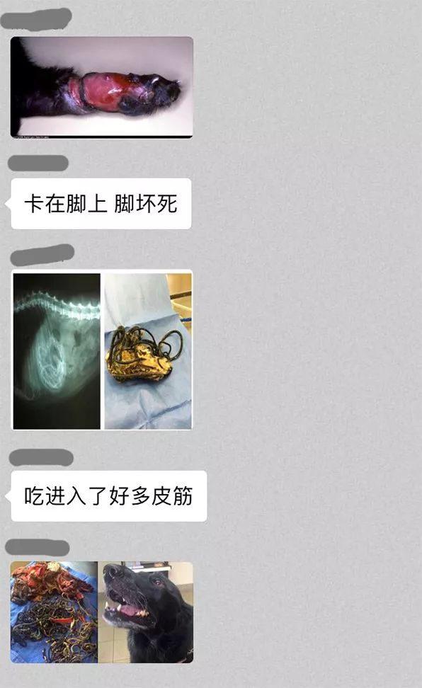 抖音猫咪大眼睛特效_抖音猫眼睛是哪个_抖音猫咪眼睛治愈情头