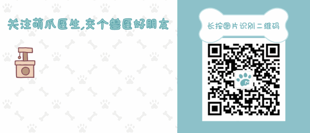 抖音猫咪大眼睛特效_抖音猫咪眼睛治愈情头_抖音猫眼睛是哪个