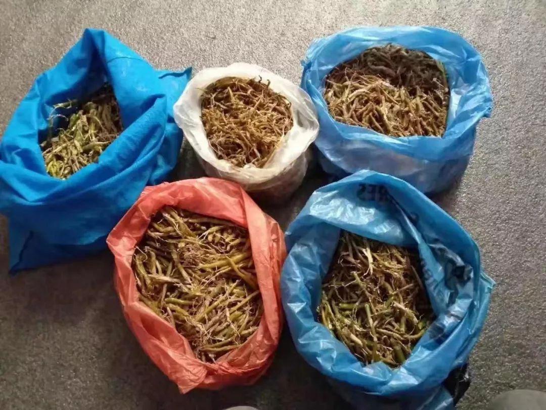 快手上有个叫神秘人的是谁_快手神秘人个人资料_快手神秘人到底是谁