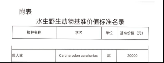 大哥出狱视频_坐牢的快手网红_大力哥出狱拍快手