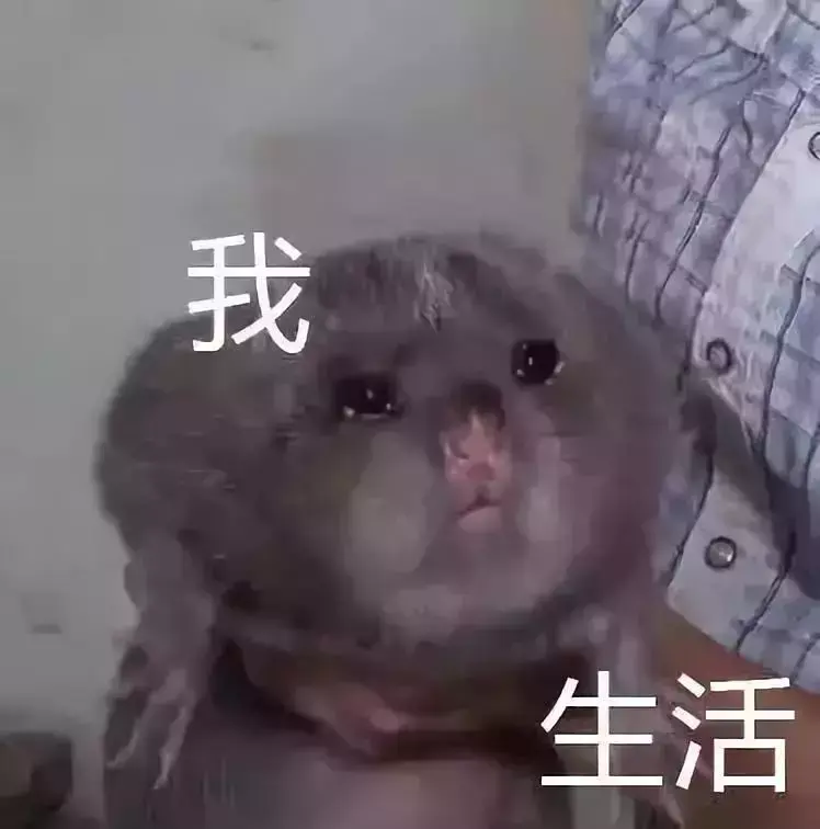 快手神秘人到底是谁_快手神秘人个人资料_快手上有个叫神秘人的是谁