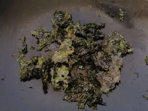快手早餐食谱大全_早餐食谱简单食谱_早餐食谱简单快速