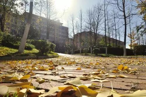 抖音上哭唱一动不动了_抖音哭腔歌曲_抖音哭着唱如果