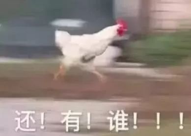 快手泡面真名_网红泡面真名_快手泡面君的真名